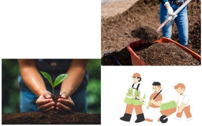 DISTRIBUTION DE COMPOST ET D’ARBRES
