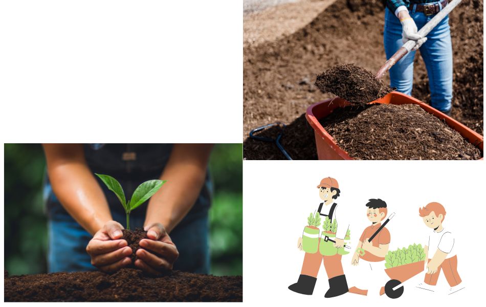 DISTRIBUTION DE COMPOST ET D’ARBRES