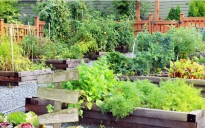 Jardins communautaires