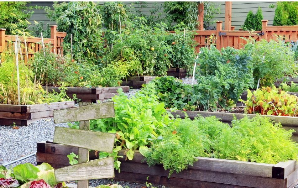 Jardins communautaires