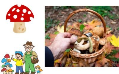 CUEILLETTE DE CHAMPIGNONS